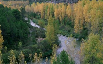 Principal 12 El MITECO invertirá 40 millones de euros en el seguimiento del estado de las aguas continentales de las cuencas hidrográficas del Ebro, Guadalquivir y Tajo