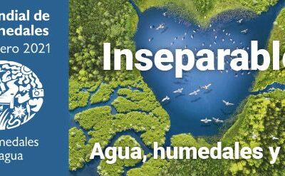 Día Mundial de los Humedales